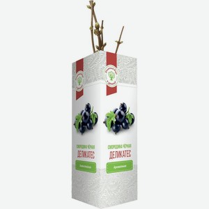 Саженец Русский Огород Смородина черная Деликатес 1шт.