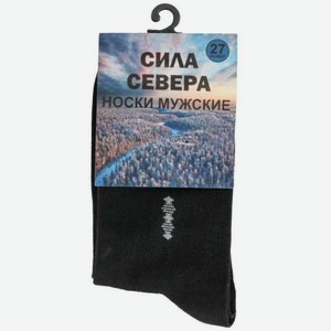 Носки мужские Большая семья демисезонные черные р.27 (41-42)