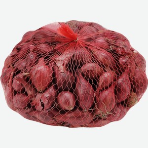 Лук-севок ДАЧИУДАЧИ Кармен, фракция 14/21, 500г