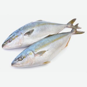 Лакедра ( желтохвост)нр вес