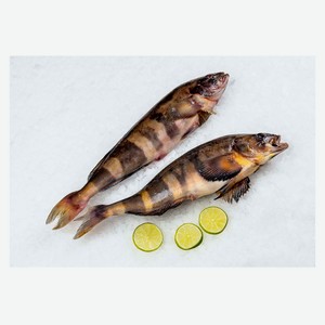 Терпуг охлажденный Курильский непотрошеный, вес цена за 1 кг