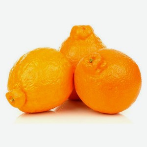 Минеола, вес цена за 1 кг