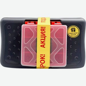 Набор органайзеров BLOCKER бокс Techniker 12 и органайзер Master 5,5, Арт. BR6675СРСВЦОР