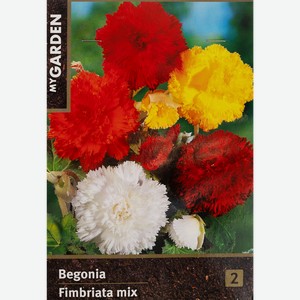 Луковицы MY GARDEN Бегония фимбриата, микс, 2шт