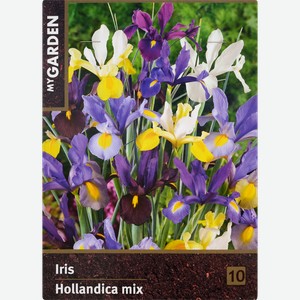 Луковицы MY GARDEN Ирис Голландский, микс, 10шт