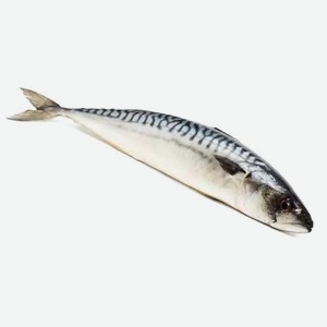 Скумбрия 200 300 вес зам