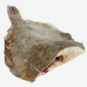 Камбала зам. вес. Ладья