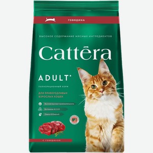 Корм сухой Cattera с говядиной полнорационный для взрослых кошек 300г, 300 г
