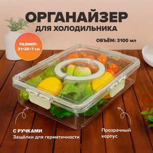 Органайзер для холодильника с ручками, O Kitchen, 31х24х7 см