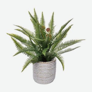 Искусственное растение Папоротник DZ24121806 25см