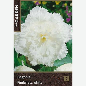 Луковицы MY GARDEN Бегония фимбриата, белая, 2шт