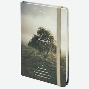 BRAUBERG Блокнот с резинкой А5 Nature 96л клетка, Мультиколор