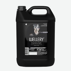 Кондиционер для белья парфюмированный. Аромат кедра и пачули Collection DIAMOND