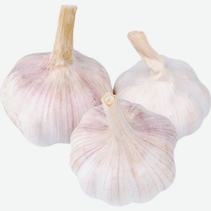 Чеснок, Цена за 1 кг