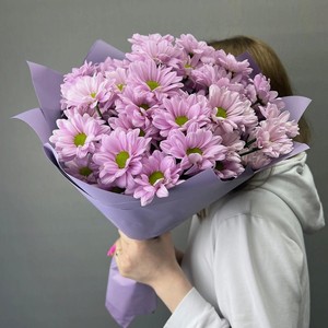 PARTY DAY Хризантема кустовая, 1 шт.