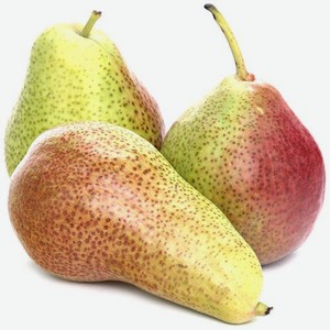 Груша Форелл, весовая