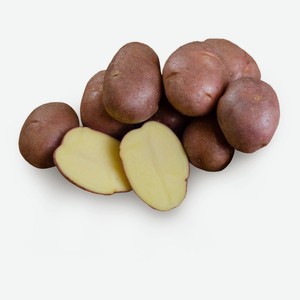 Картофель семенной «СеДеК» Ред Скарлет, 2 кг