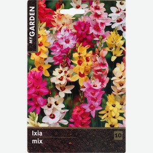 Луковицы MY GARDEN Иксия микс, 10шт