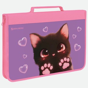 BRAUBERG Папка на молнии А4 С РУЧКОЙ Отпечатки лап, Мультиколор