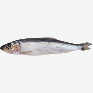 Салака не потрошеная с головой (из замороженного сырья), весовая