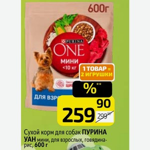 Сухой корм для собак ПУРИНА УАН мини, для взрослых, говядина- рис, 600 г