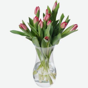 Букет из тюльпанов в ассортименте 11шт., 11 шт