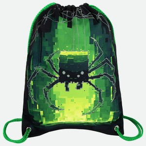 BRAUBERG Мешок для обуви PREMIUM, карман, подкладка Digital spider, Черный