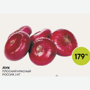 Лук Плоский Красный Кг