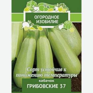 Семена Грибовские Кабачок 37.