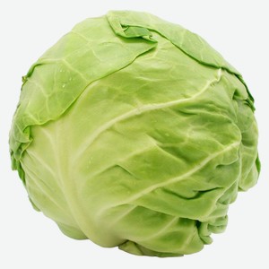 Капуста б/к молодая кг