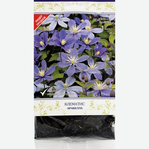 Саженцы ПОИСК декоративный Клематис Микс капер, Россия