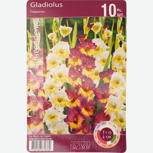 Луковицы ЧТМ fantasy brands Гладиолусы Ориент Микс (ФАР ВЕСТ, АЙС КРИМ)10/12 RKG.201.GLD.001.STD, Польша, 10 шт