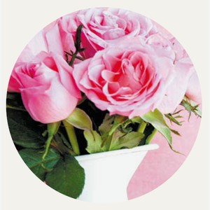 Роза Кустовая Букет 3шт