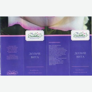 роза саженец стандарт в асс. в коробке