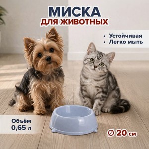 Миска для животных круглая, в ассортименте