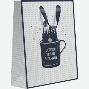 Пакет Пакетико с тиснением МТ Горы 22.7*18*10см в ассортименте