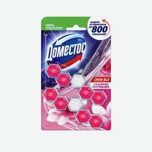 DOMESTOS Блок для очищения унитаза POWER 5 ЛЕДЯНАЯ МАГНОЛИЯ Дуо, 2*55гр