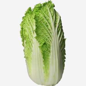Капуста Китайская вес до 1.5 кг