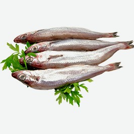 Путассу, Неразделанная, Свежемороженая, 1 Кг