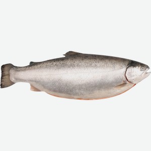 Форель морская INARCTICA потрошеная с головой 2–8кг, весовая