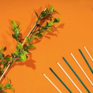 Опора для растений, GreenArt, 50 шт., 40 см, в ассортименте