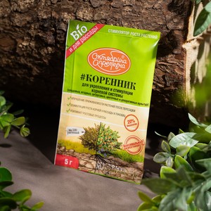 Коренник  Октябрина Апрелевна , Щёлково Агрохим, 5 г