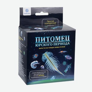 Набор для творчества и экспериментов  Питомец юрского периода , Intellectico