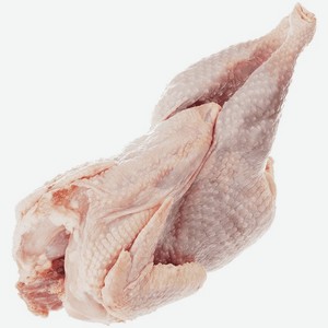 Курочка  Суповая  ТУ, зам., вес. ОАО Волжанин