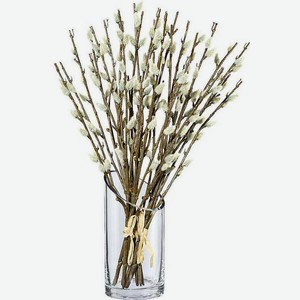 Букет вербы