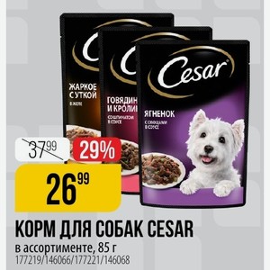 КОРМ ДЛЯ СОБАК CESAR ассортименте, 85 г
