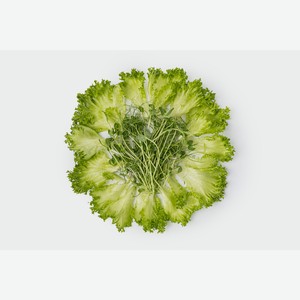 Микс из салата фриллис и ростков гороха, 80 г 80 г