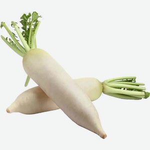 Редис Дайкон, Цена за 1 кг