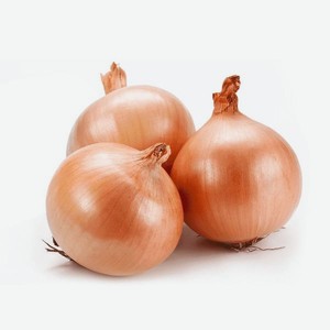 Лук репчатый