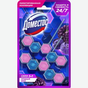 Блок для унитаза ДОМЕСТОС Power Дуо Видимая защита Ягодный бриз, 100г